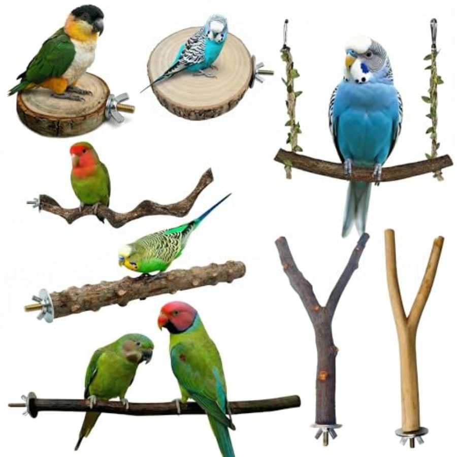 8 perchoirs en bois naturel po - Health & Wellness Unlimited avis et prix